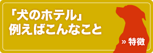 犬のホテルの特徴