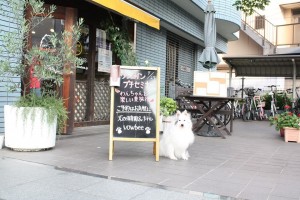 犬の保育園バウビー外観