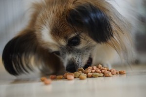 食べ物を守る