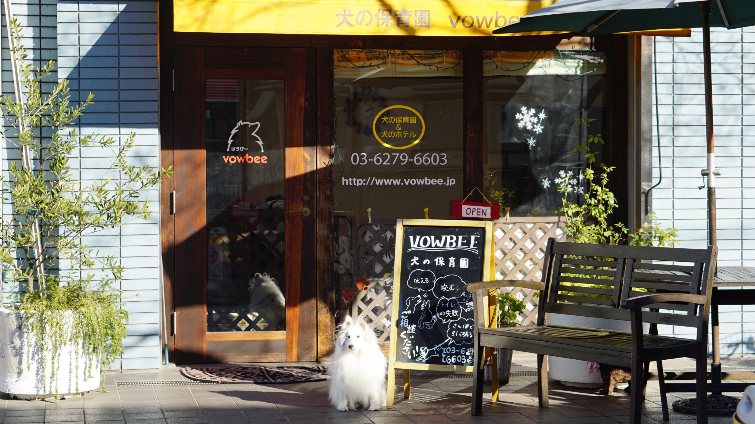 犬の保育園　世田谷